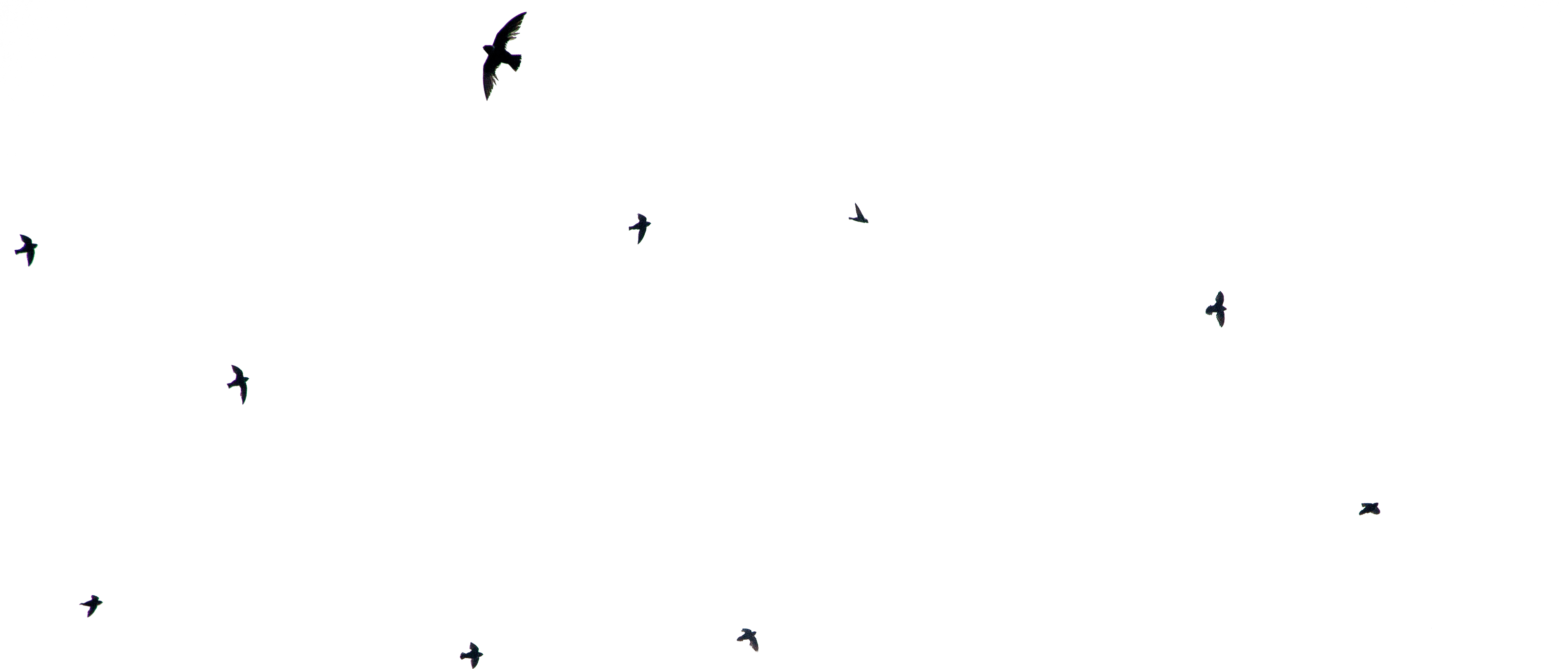 Elevating your business!