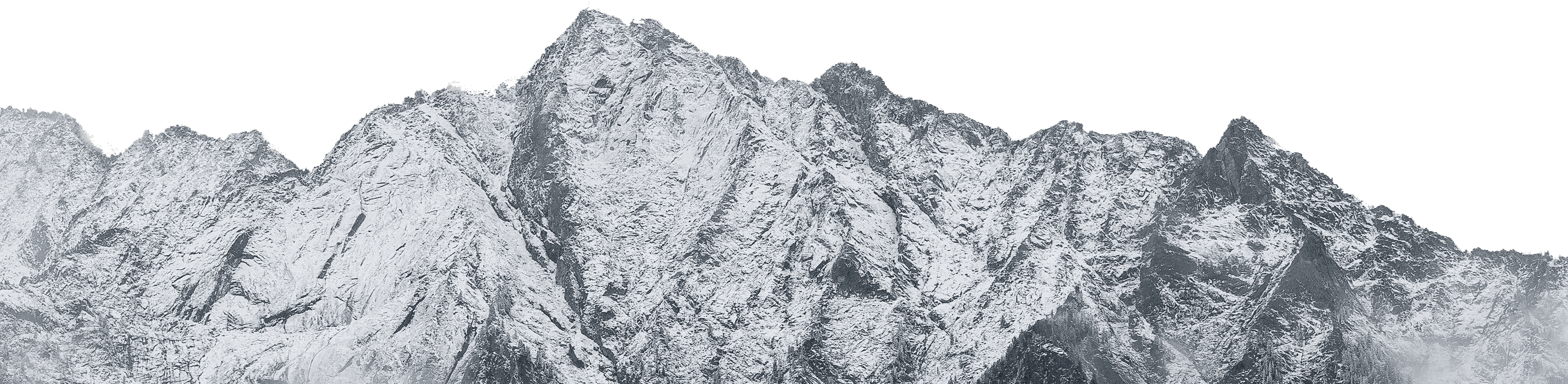 Elevating your business!